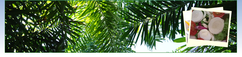 Palm Hearts Australia - Purveyors of fresh gourmet palm hearts